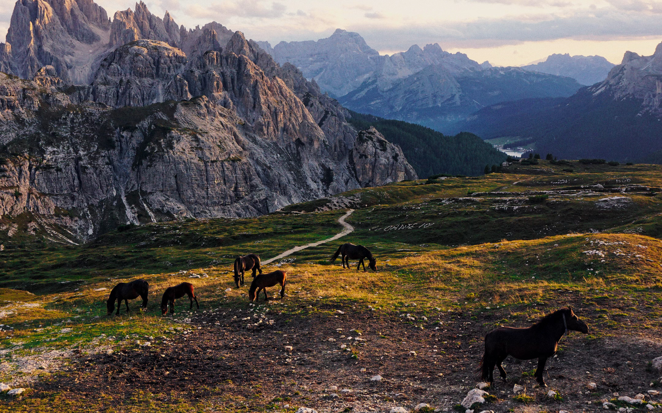 A Dream of Heavenly Horses