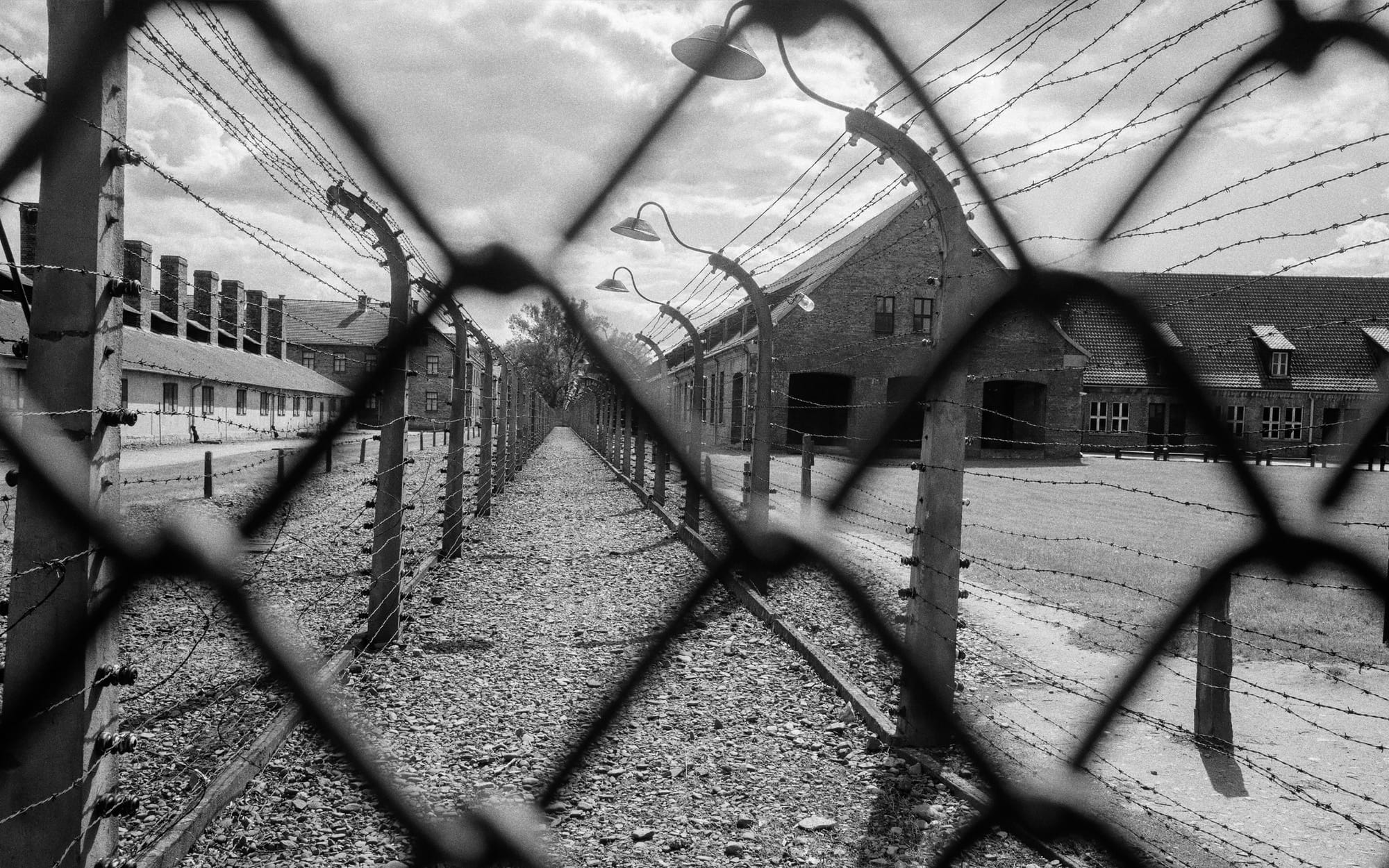 Reporting from the Land of Auschwitz