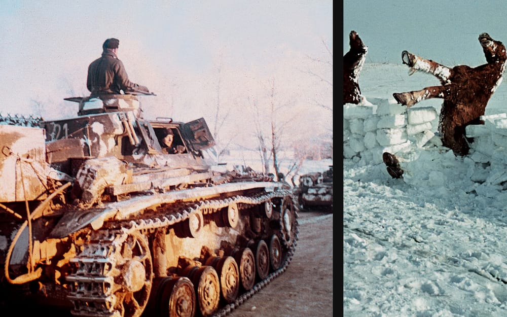 Life and Death on the Eastern Front post image