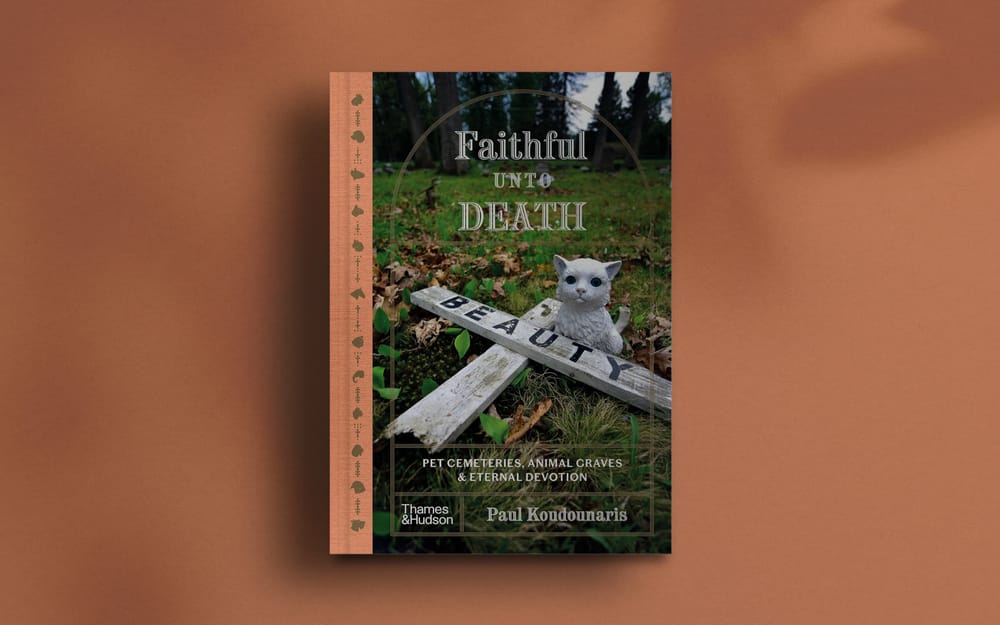 Cherry the Pioneering Dog post image