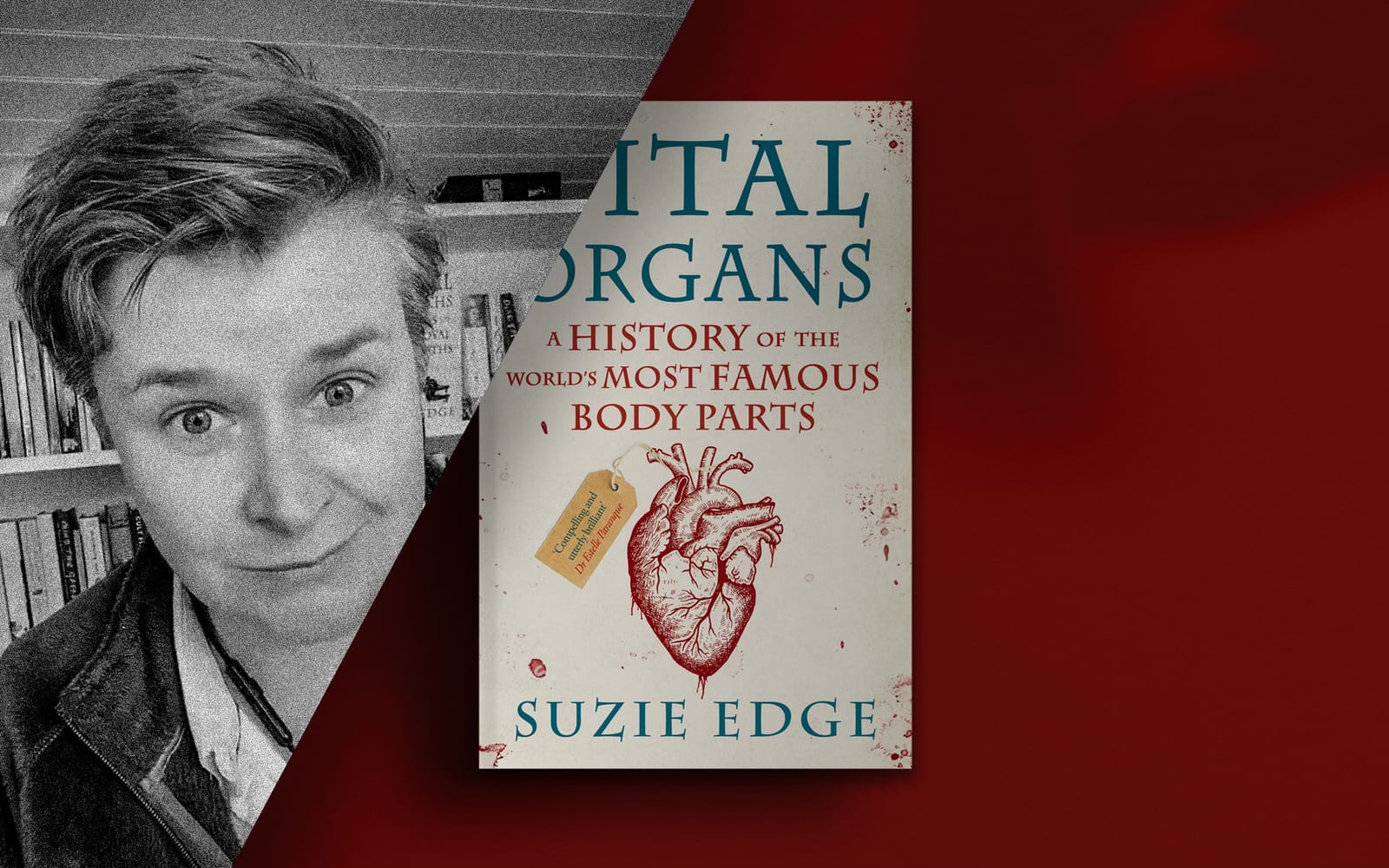 Vital Organs with Suzie Edge post image