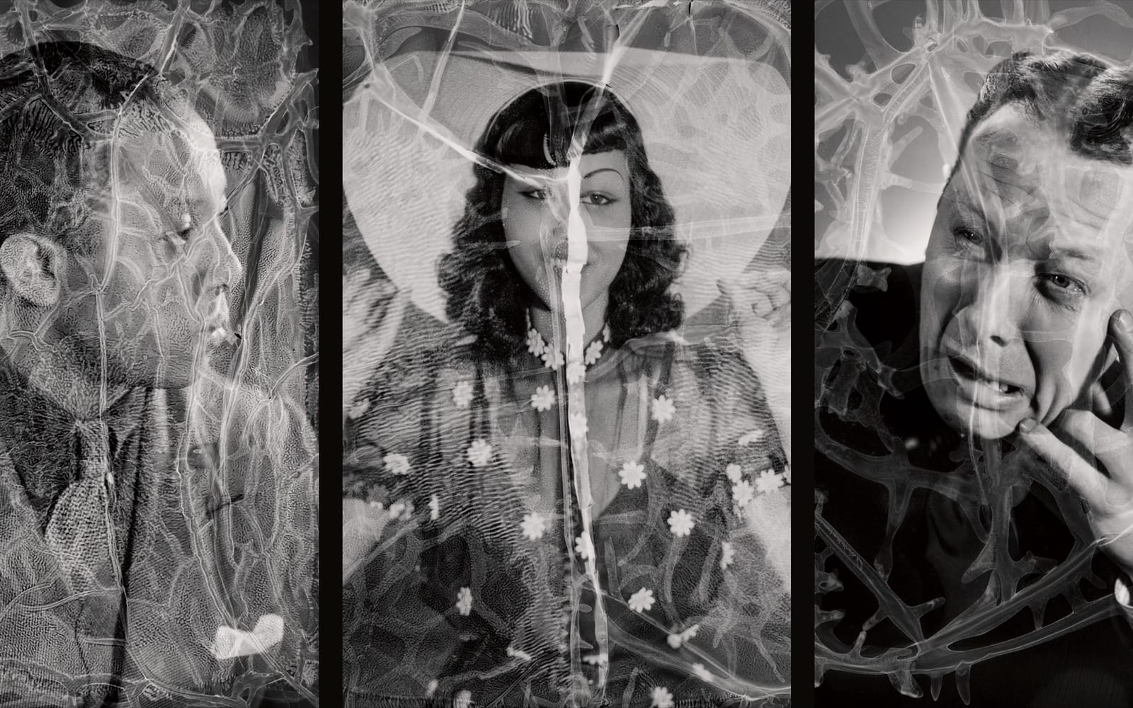 Warped Portraits of the 1930s post image