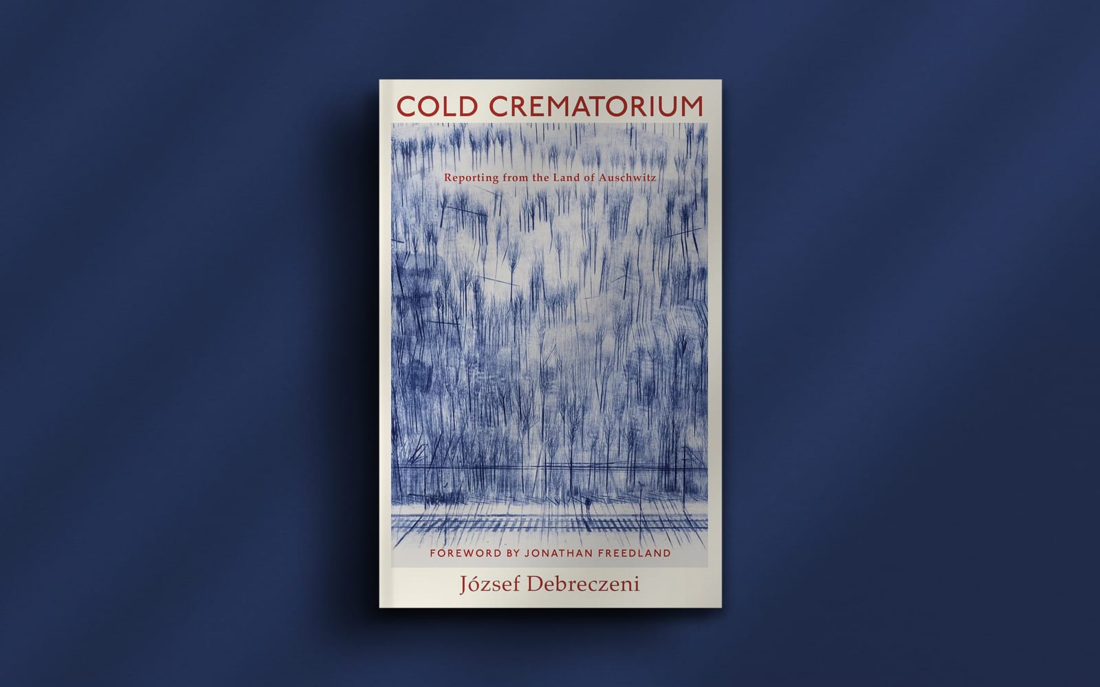 Reporting from the Land of Auschwitz post image