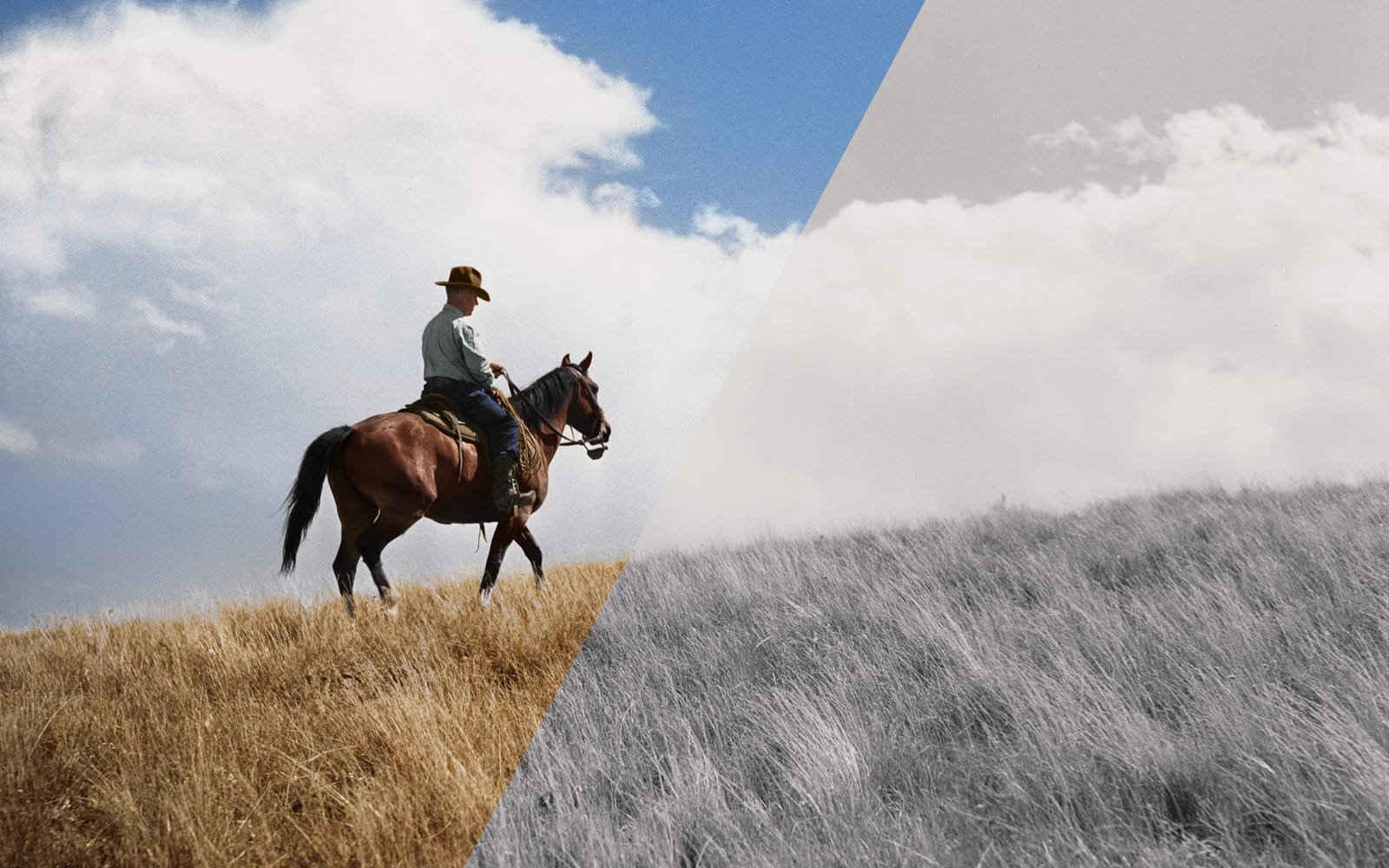 1939: A Montana Rancher post image